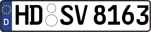 HD-SV8163