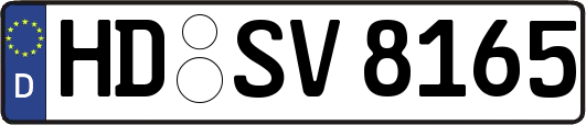 HD-SV8165