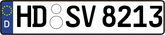 HD-SV8213