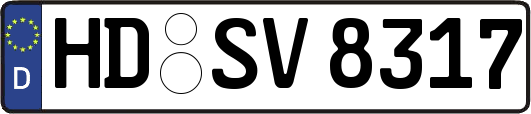 HD-SV8317