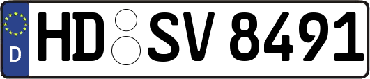 HD-SV8491