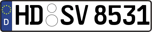 HD-SV8531