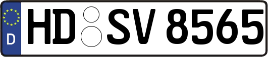 HD-SV8565
