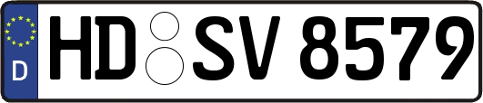 HD-SV8579