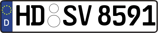 HD-SV8591