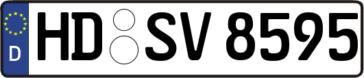 HD-SV8595