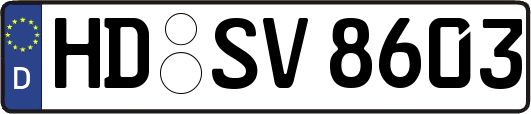 HD-SV8603