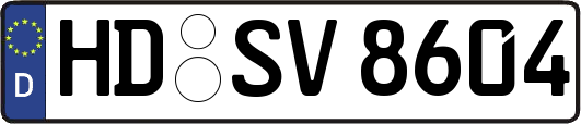 HD-SV8604