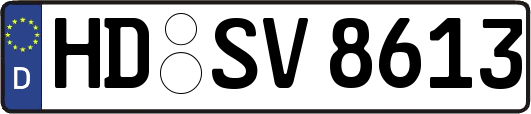 HD-SV8613