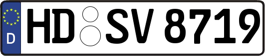HD-SV8719