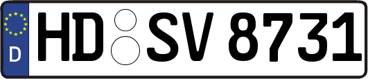 HD-SV8731