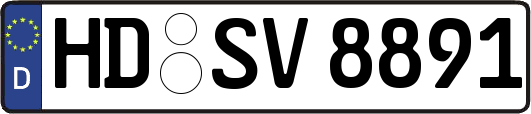 HD-SV8891