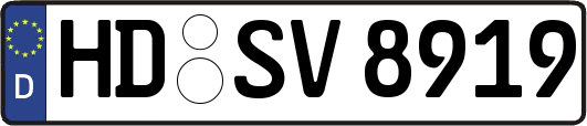 HD-SV8919