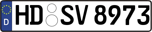 HD-SV8973