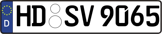 HD-SV9065