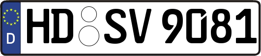 HD-SV9081
