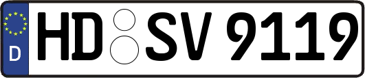 HD-SV9119