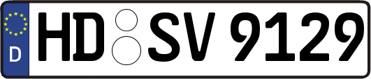 HD-SV9129