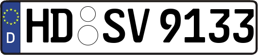 HD-SV9133