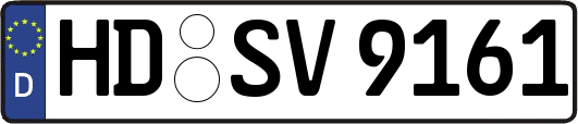 HD-SV9161