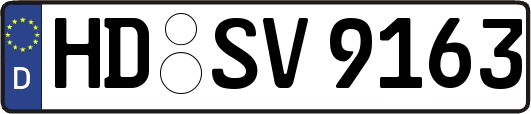 HD-SV9163