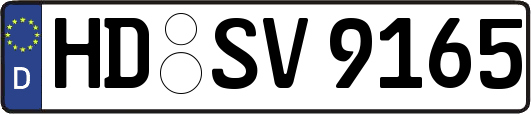 HD-SV9165