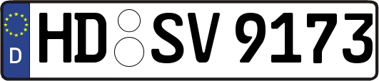HD-SV9173