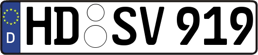 HD-SV919