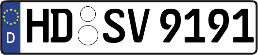 HD-SV9191