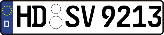 HD-SV9213