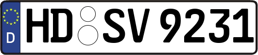 HD-SV9231