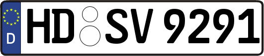 HD-SV9291