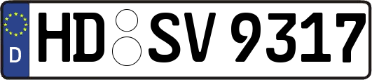HD-SV9317
