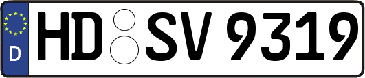 HD-SV9319