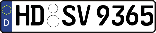HD-SV9365