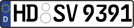 HD-SV9391