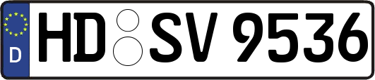 HD-SV9536