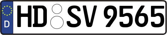 HD-SV9565