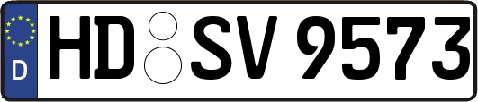 HD-SV9573