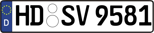 HD-SV9581