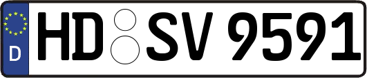 HD-SV9591