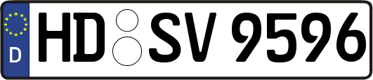 HD-SV9596