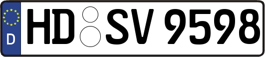 HD-SV9598
