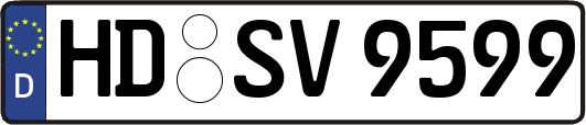 HD-SV9599