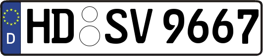 HD-SV9667