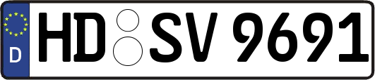 HD-SV9691