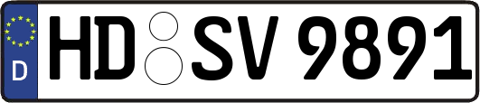HD-SV9891