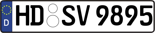 HD-SV9895