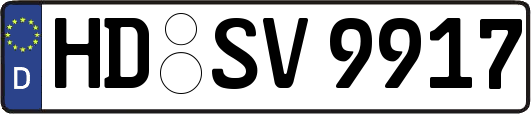 HD-SV9917