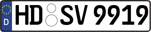 HD-SV9919